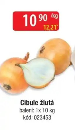 Qanto Cibule žlutá nabídka