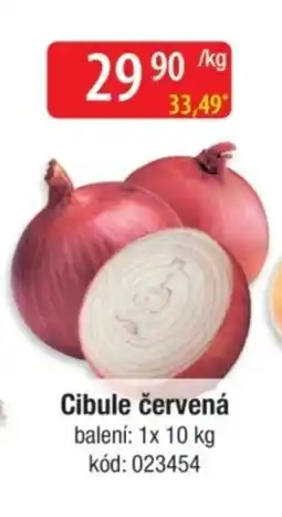 Qanto Cibule červená nabídka