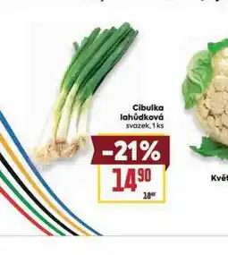 Billa Cibulka lahůdková nabídka