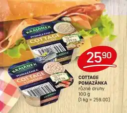 Flop COTTAGE POMAZÁNKA různé druhy 100 g nabídka