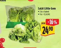 Albert Salát little gem nabídka