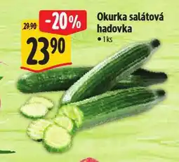 Albert Okurka salátová hadovka nabídka