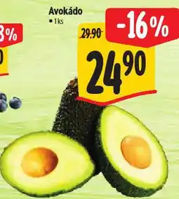 Albert Avokádo nabídka