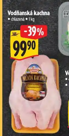 Albert Vodňanská kachna nabídka