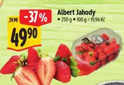 Albert Jahody nabídka