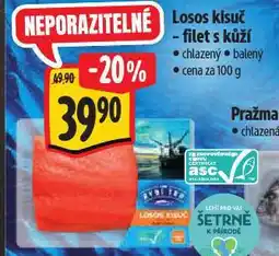 Albert Losos kisuč nabídka