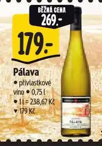 Albert Pálava nabídka