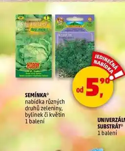 Penny Market SEMÍNKA, 1 balení nabídka