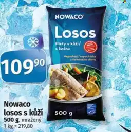 COOP TIP NOWACO losos s kůží nabídka