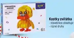 Globus Kostky zvířátka nabídka