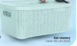 Globus Koš ratanový nabídka