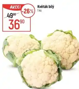 Globus Květák bílý nabídka