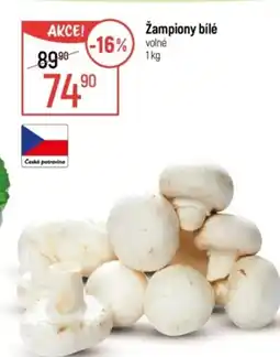 Globus Žampiony bílé nabídka