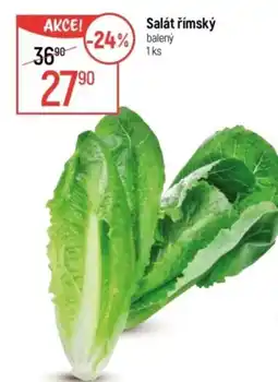 Globus Salát římský nabídka