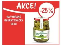Globus Na vybrané okurky značky Efko nabídka