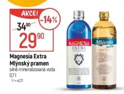 Globus Magnesia Extra Mlýnský pramen nabídka