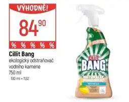 Globus Cillit Bang nabídka