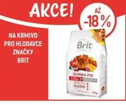 Globus Na krmivo pro hlodavce značky Brit nabídka