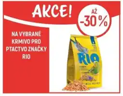 Globus Na vybrané krmivo pro ptactvo značky Rio nabídka