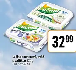 TEMPO Lučina smetanová, svěží s pažitkou nabídka