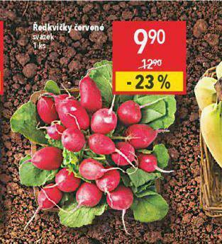 Globus Ředkvičky červené nabídka