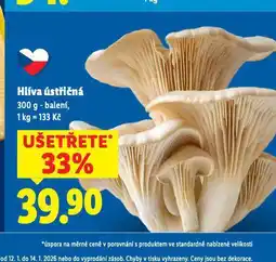 Lidl Hlíva ústřičná nabídka