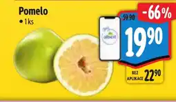 Albert Pomelo nabídka