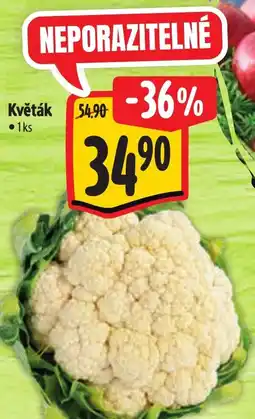 Albert Květák nabídka