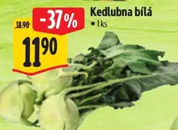 Albert Kedlubna bílá nabídka