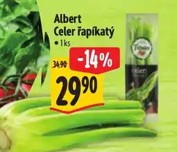 Albert Albert Celer řapíkatý nabídka