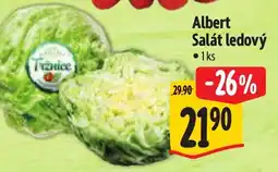 Albert Albert Salát ledový nabídka