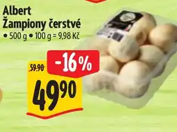 Albert Albert Žampiony čerstvé nabídka