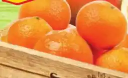 Albert Mandarinky volné nabídka