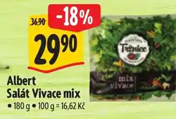 Albert Albert Salát Vivace mix nabídka