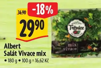 Albert Albert Salát Vivace mix nabídka