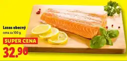 Lidl Losos obecný nabídka
