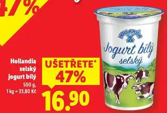 Hollandia selský jogurt