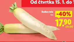 Lidl Ředkev bílá nabídka