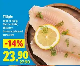 Lidl Tilápie nabídka