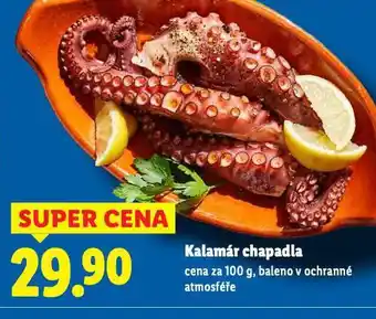 Lidl Kalamár chapadla nabídka