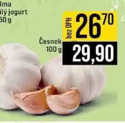 Jip Česnek 100 g nabídka
