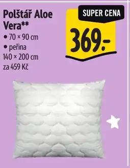 Albert Polštář Aloe Vera nabídka