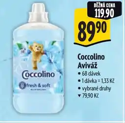 Albert Coccolino Aviváž nabídka