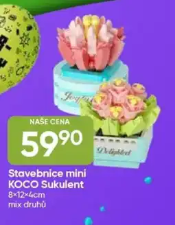 Hruška Stavebnice mini KOCO Sukulent nabídka
