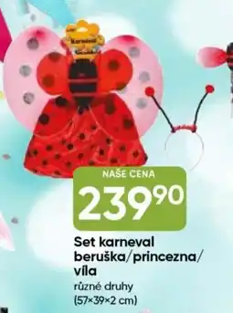 Hruška Set karneval beruška/princezna/ víla nabídka