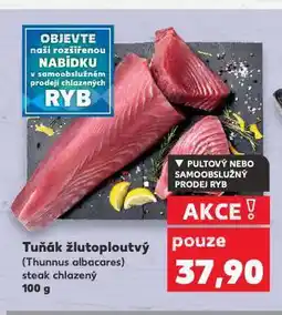 Kaufland Tuňák žlutoploutvý nabídka