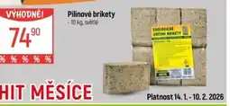 Globus Pilinové brikety nabídka