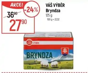 Globus VÁŠ VÝBĚR Bryndza nabídka