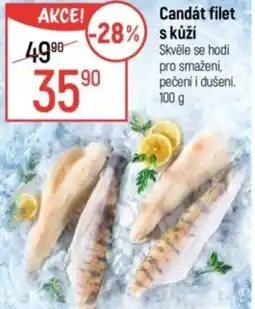 Globus Candát filet s kůží nabídka