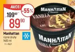 Globus Manhattan nabídka